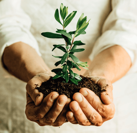 Experience the Easiest Way to Garden with Seeds In A Cup! - Seeds In A Cup®