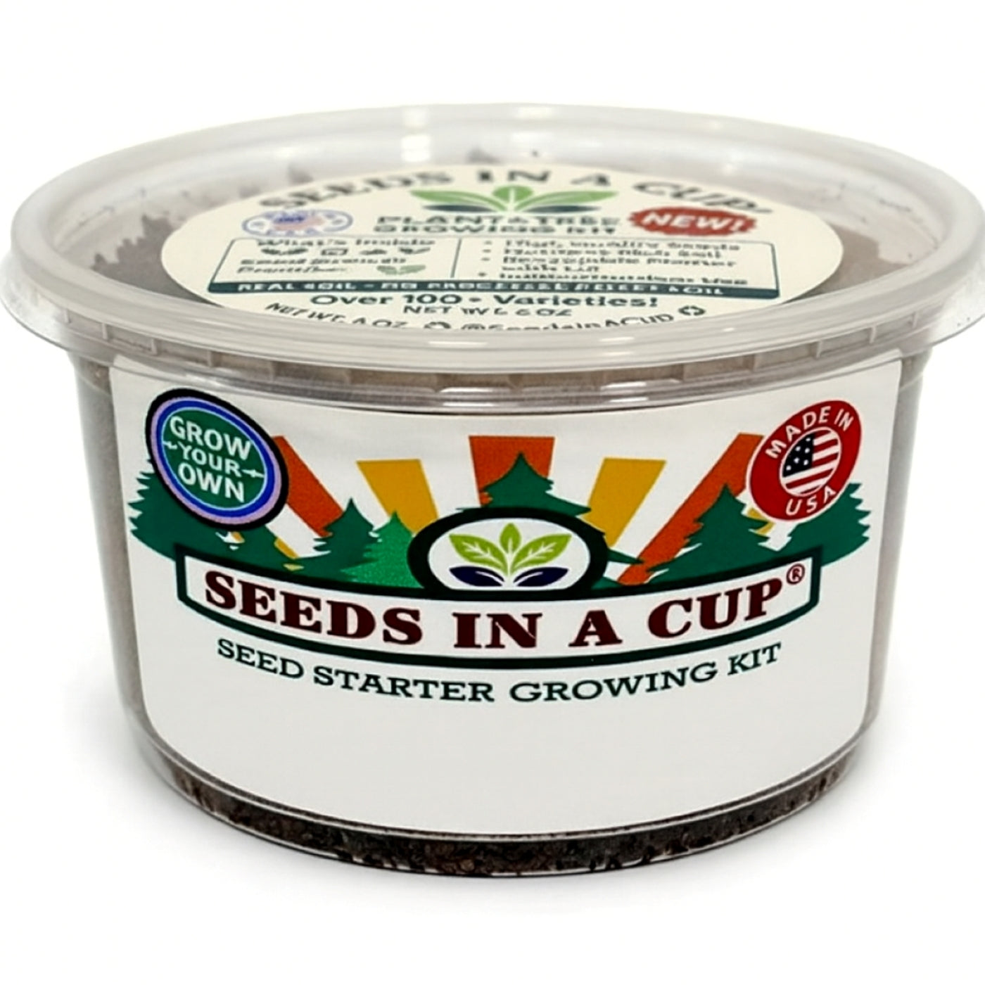 Mature Dill (Anethum graveolens) plant grown from Seeds In A Cup starter kit, demonstrating the nutrient-dense real soil growing system and high germination success rate.