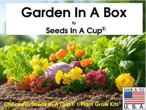 seeds in a cup brand garden in a box for gardening