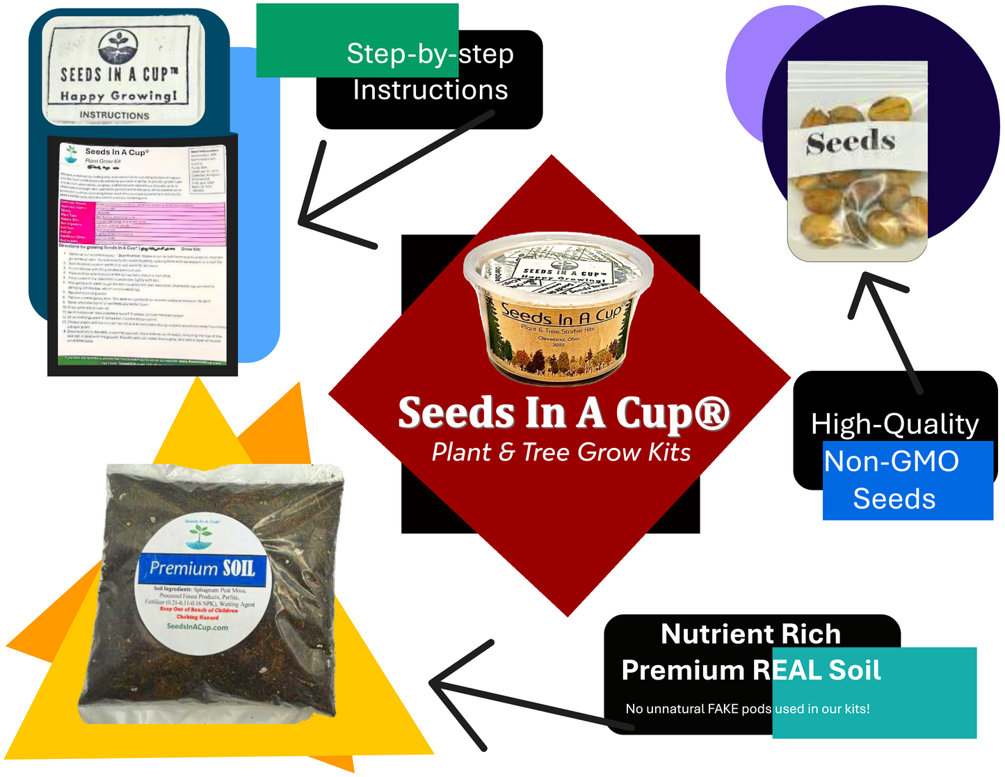 Seeds In A Cup plant and tree grow kits with various components and text. how to grow tree from seed Japanese maple cedar, magnolia, birch, jasmine