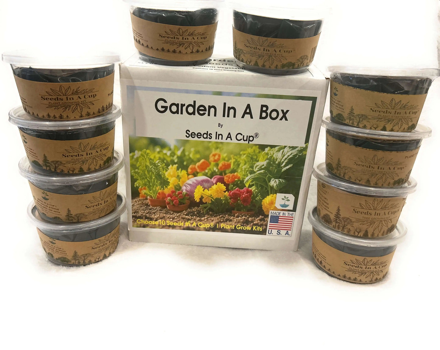 American Ash | Tree Grow Kit | Seeds In A Cup®
