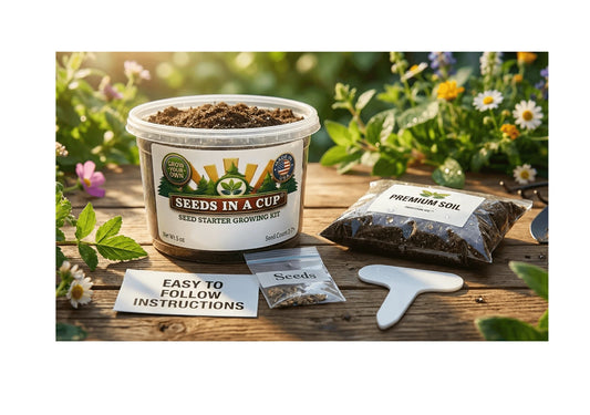 Asparagus (Asparagus officinalis) seed starter kit contents: premium non-GMO seeds, nutrient-rich loose potting soil, and recyclable planter with humidity lid by Seeds In A Cup - Made in USA.