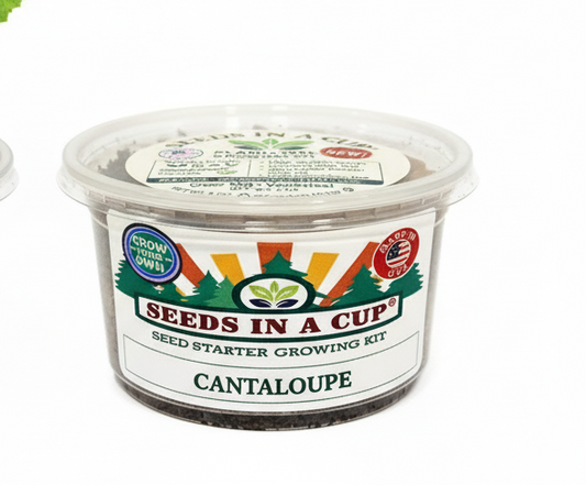 Cantaloupe (Cucumis melo var. cantalupensis) seed starter kit contents: premium non-GMO seeds, nutrient-rich loose potting soil, and recyclable planter with humidity lid by Seeds In A Cup - Made in USA.