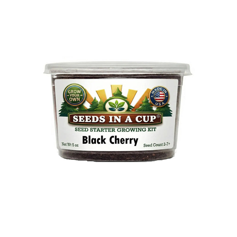 planting chery tree seeds Black Cherry Tree Grow Kit | Made in USA