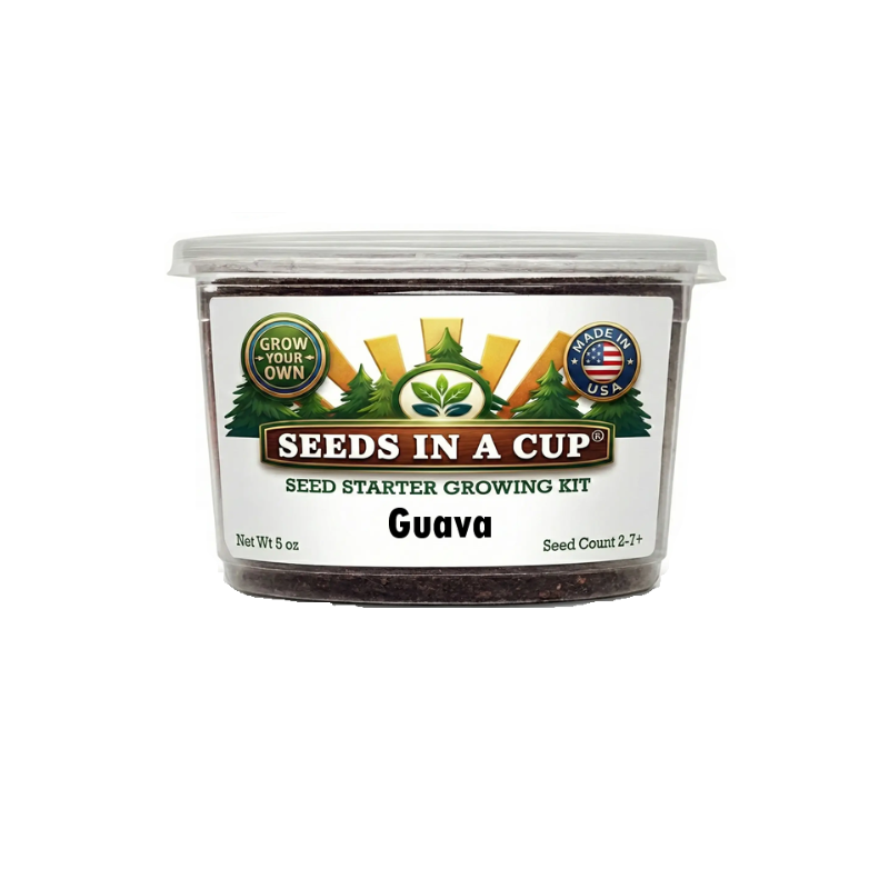 Guava tree grow kit. easy guava trees growing kits. how to be successful garden plant from seed