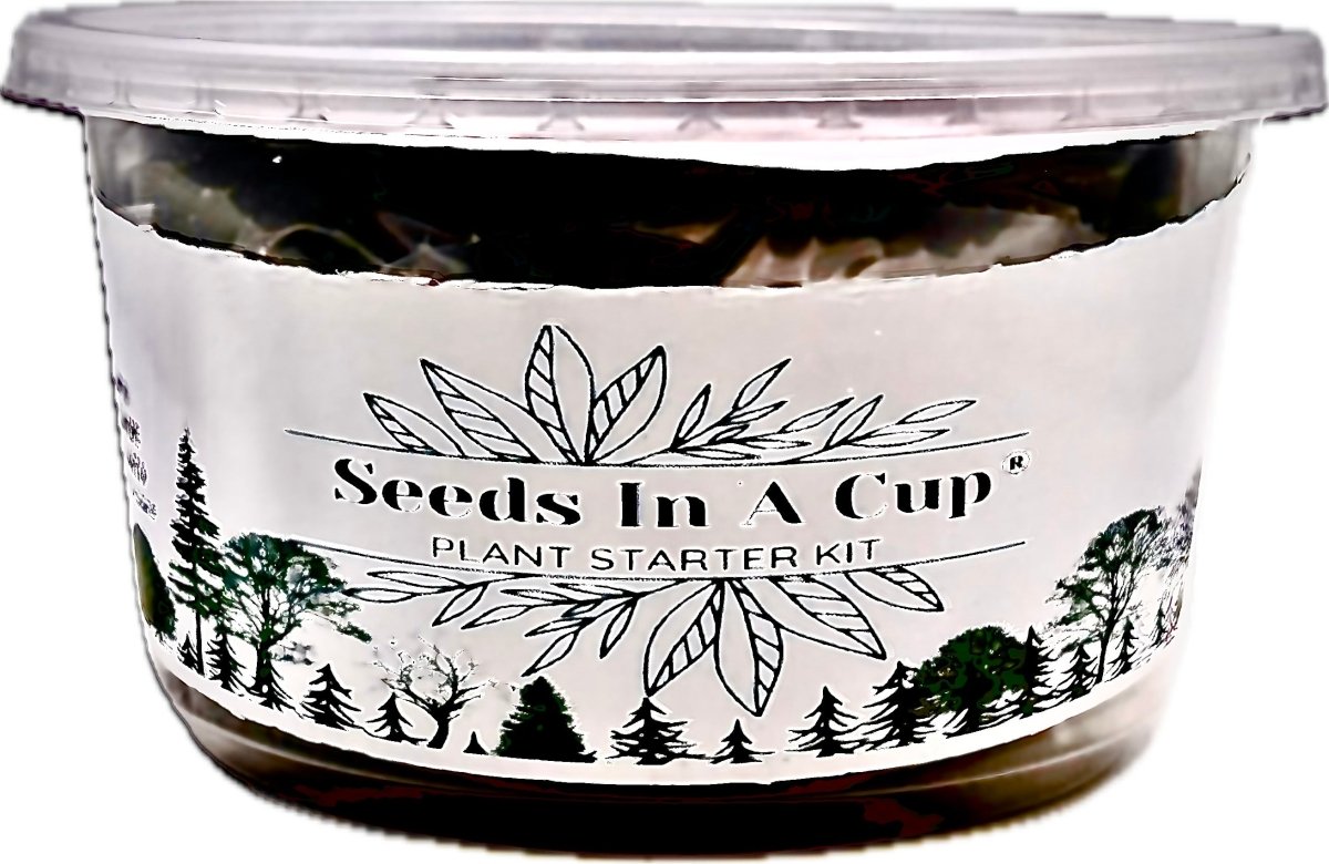 Jalapeño Plant Grow Kit | Seeds In A Cup® | Seed Germination Kit grow kit by Seeds In A Cup - Plant GRow Kit Tree GRow Kit Seed