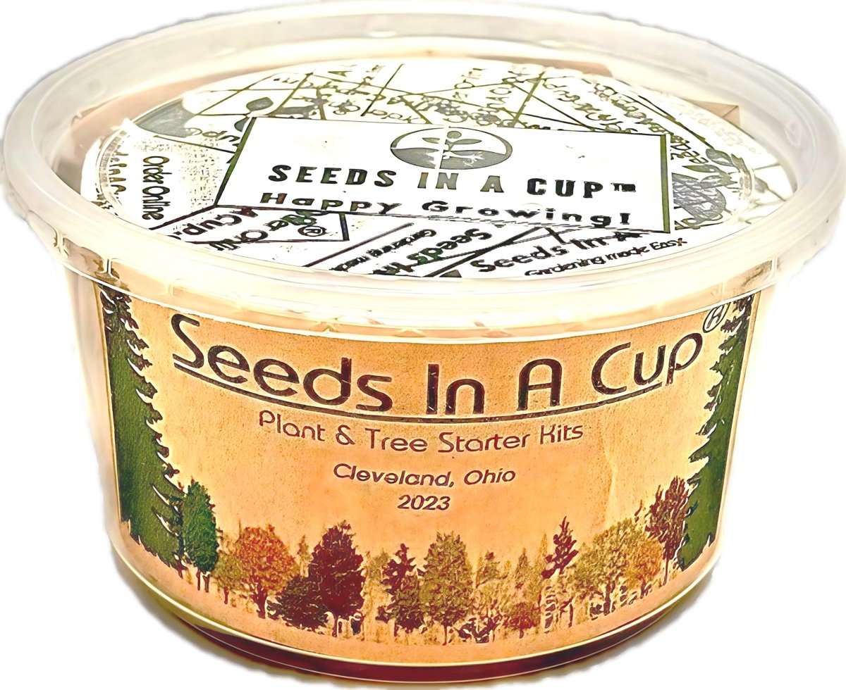 Jalapeño Plant Grow Kit | Seeds In A Cup® | Seed Germination Kit grow kit by Seeds In A Cup - Plant GRow Kit Tree GRow Kit Seed