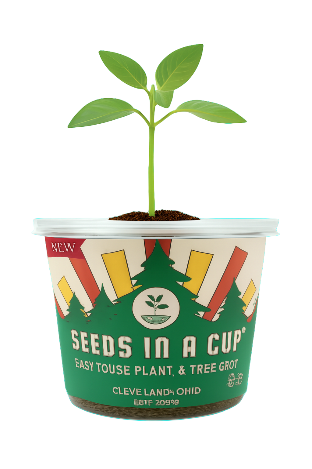 Seeds in a Cup with a small plant growing out of it on a white background