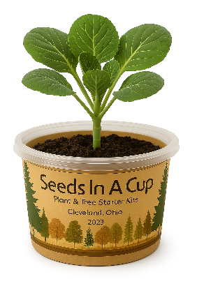 grow your own English ivy seed with 'Seeds In A Cup' label on a