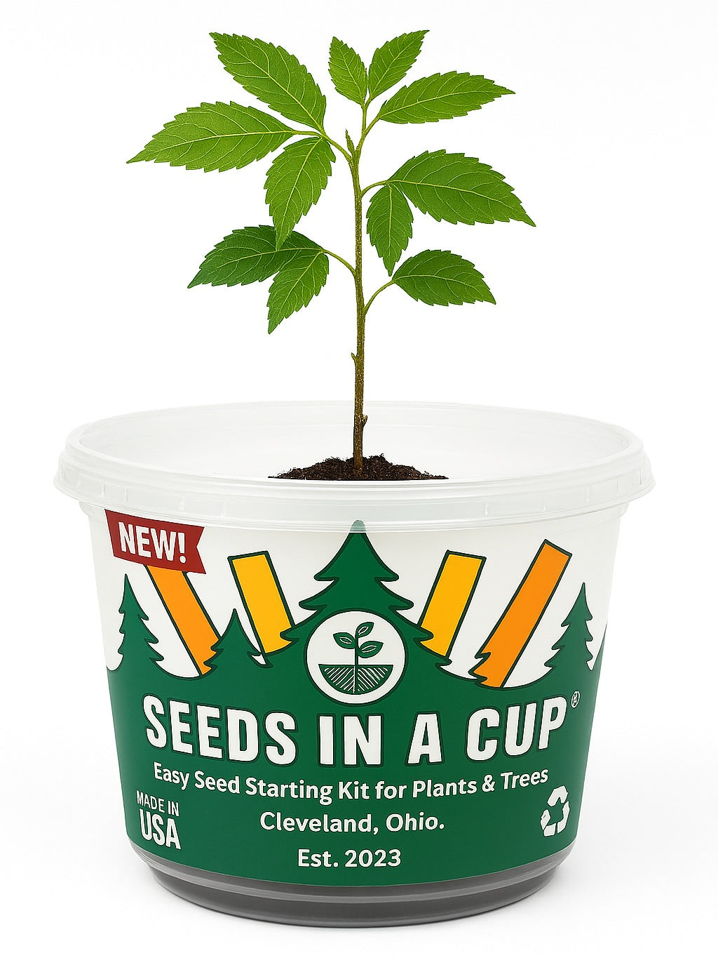 Seeds in a Cup packaging with a small plant inside with directions grow