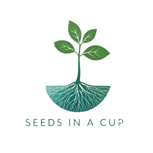 American Ash | Tree Grow Kit | Seeds In A Cup®