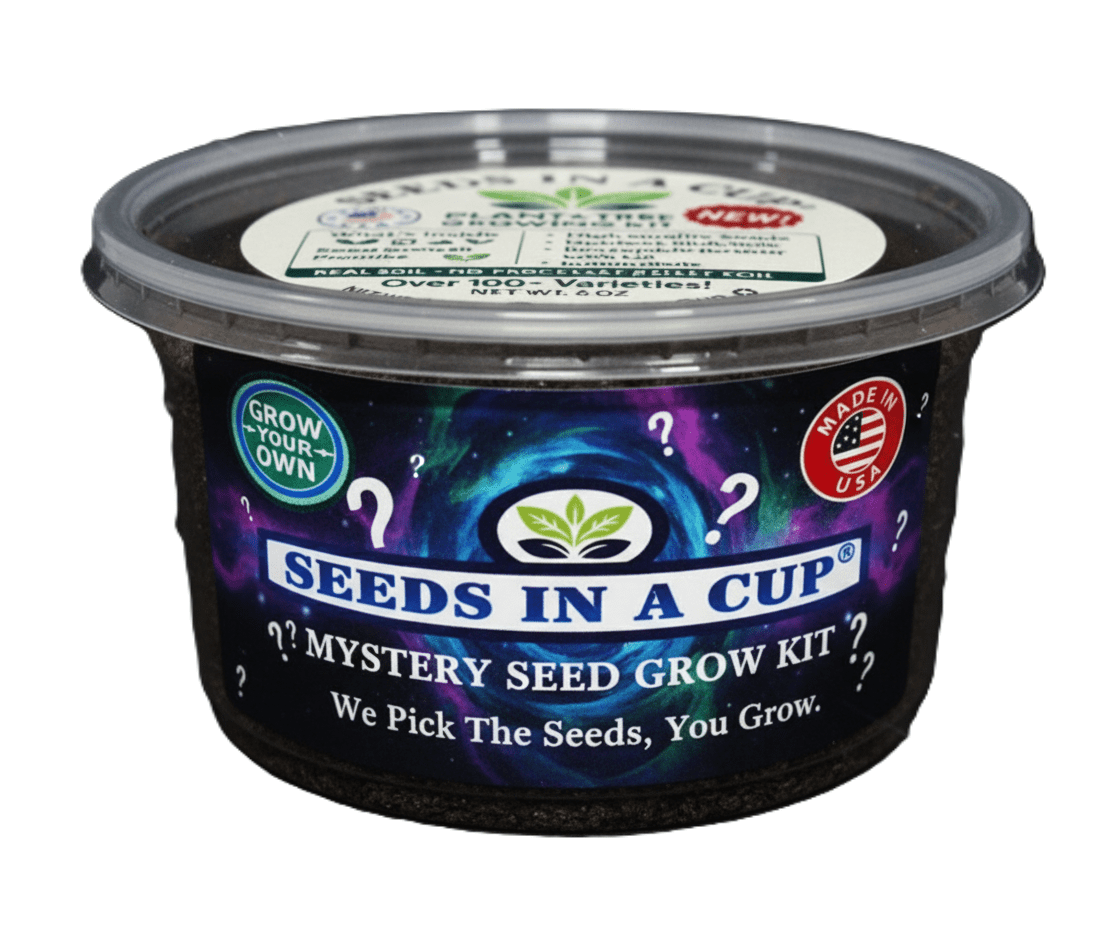 mystery plant seeds Mystery Seed Growing
