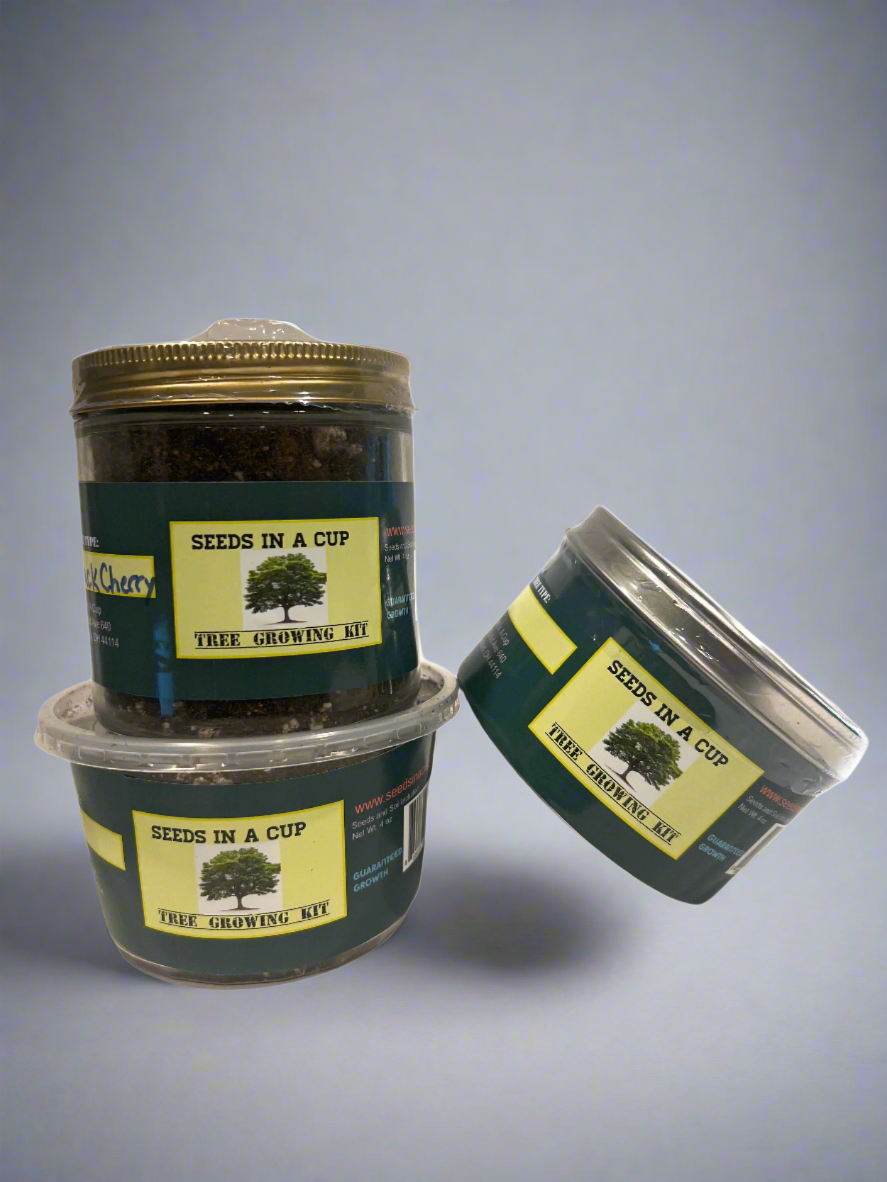 Fruit, Herb & Vegetable | Plant Seed Starter Grow Kit | Seeds In A Cup® - Seeds In A Cup®