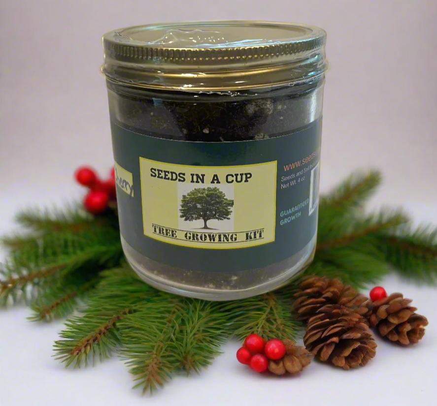 Apricot Tree | Seed Starter Grow Kit | Seeds In A Cup® - Seeds In A Cup®
