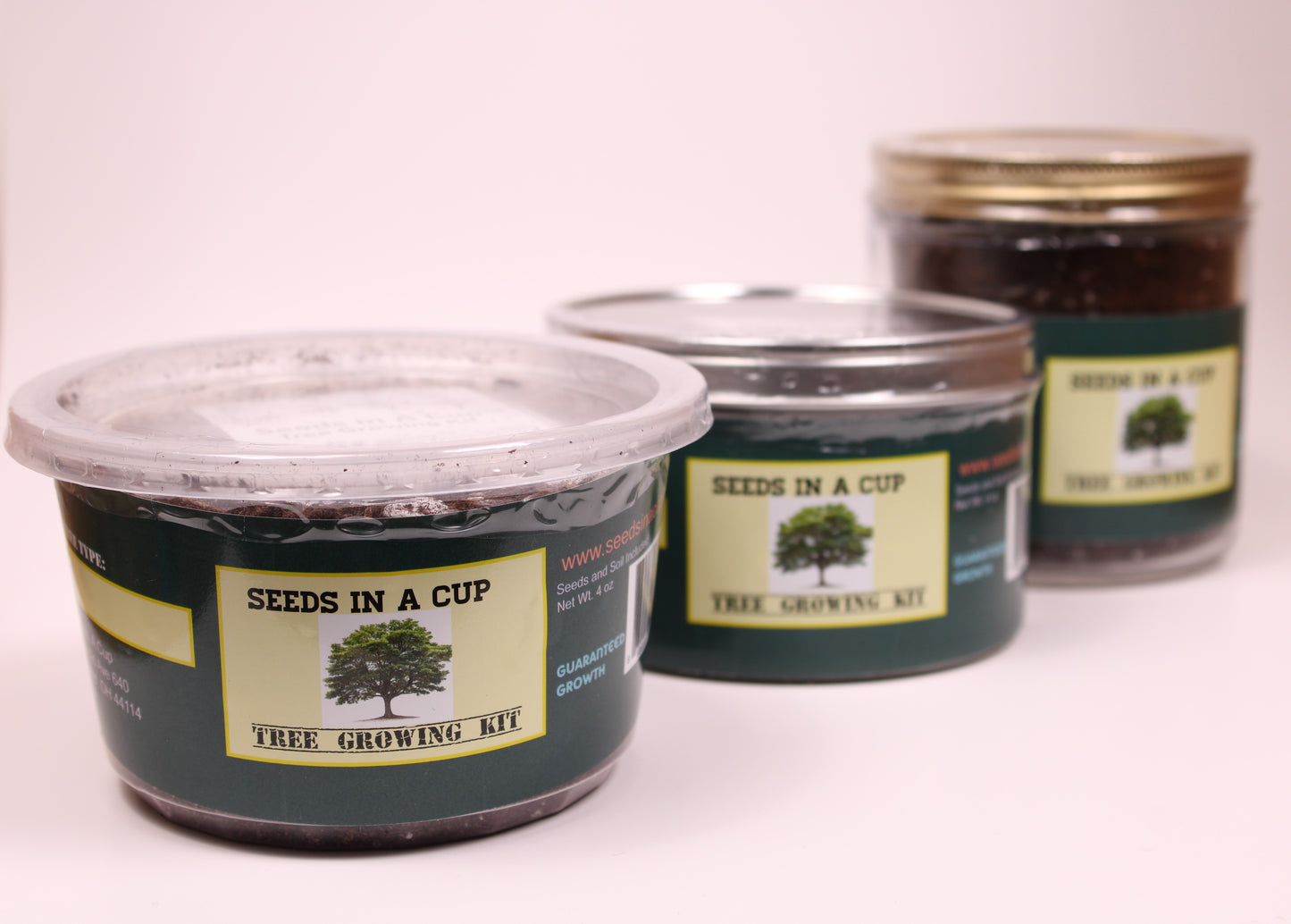Hazelnut Tree | Seed Starter Grow Kit | Seeds In A Cup® - Seeds In A Cup®
