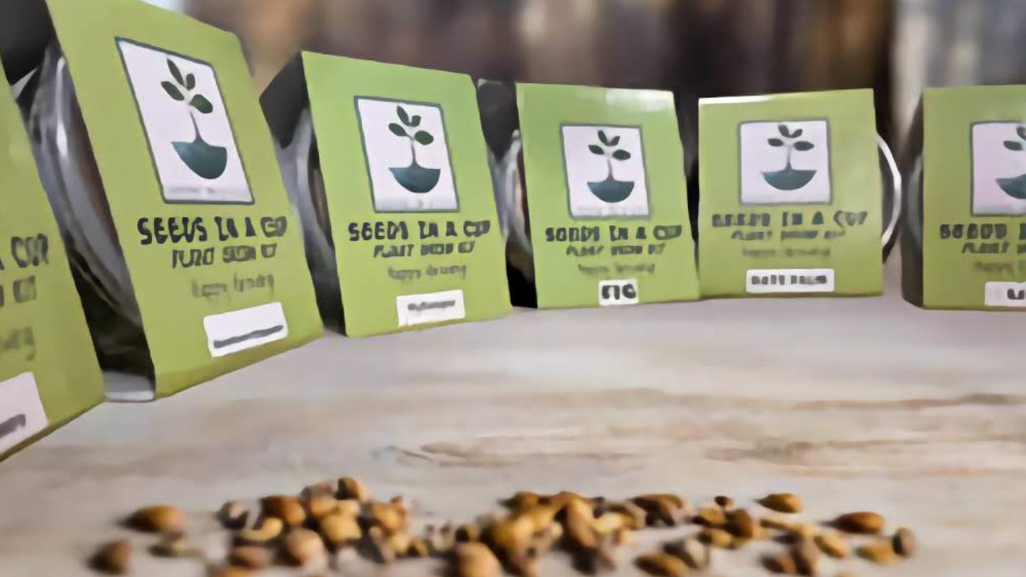 Herb Seed Starter Kit | Seeds In A Cup® | Grow Fresh Herbs Effortlessly At Home - Seeds In A Cup®