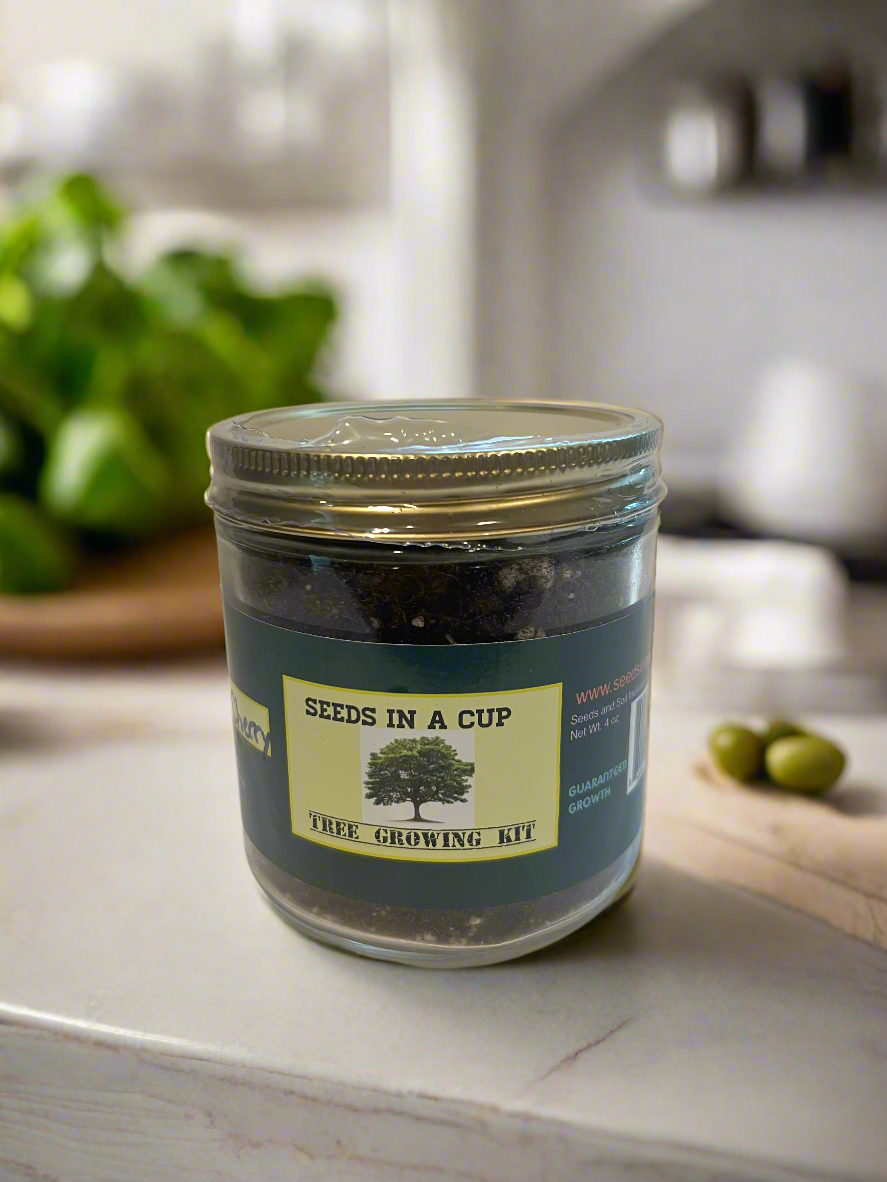 Herb Seed Starter Kit | Seeds In A Cup® | Grow Fresh Herbs Effortlessly At Home - Seeds In A Cup®