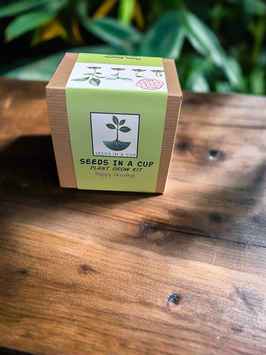 Seeds In A Cup® Mystery Plant Grow Kit: Surprise Plant - We Pick, You Grow! - Seeds In A Cup®