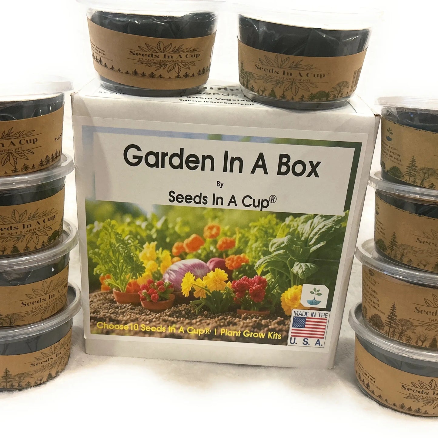 American Ash | Tree Grow Kit | Seeds In A Cup®
