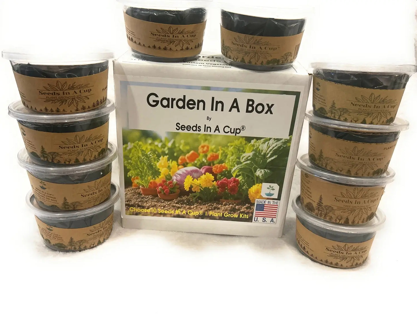 American Ash | Tree Grow Kit | Seeds In A Cup®