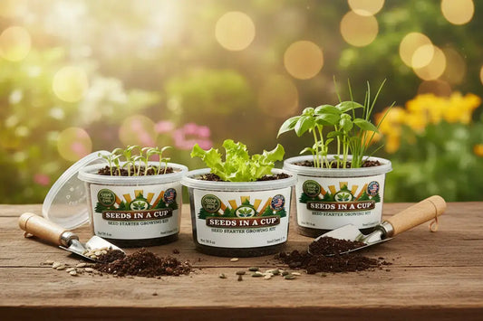 Seeds In A Cup Collard Greens grow kit with all included contents: non-GMO seeds, real loose potting soil, recyclable planter, and step-by-step growing instructions. Made in Cleveland, Ohio.