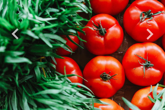 How to Maximize Your Garden's Yield: Helpful Tips for Vegetables and Herbs - Seeds In A Cup®