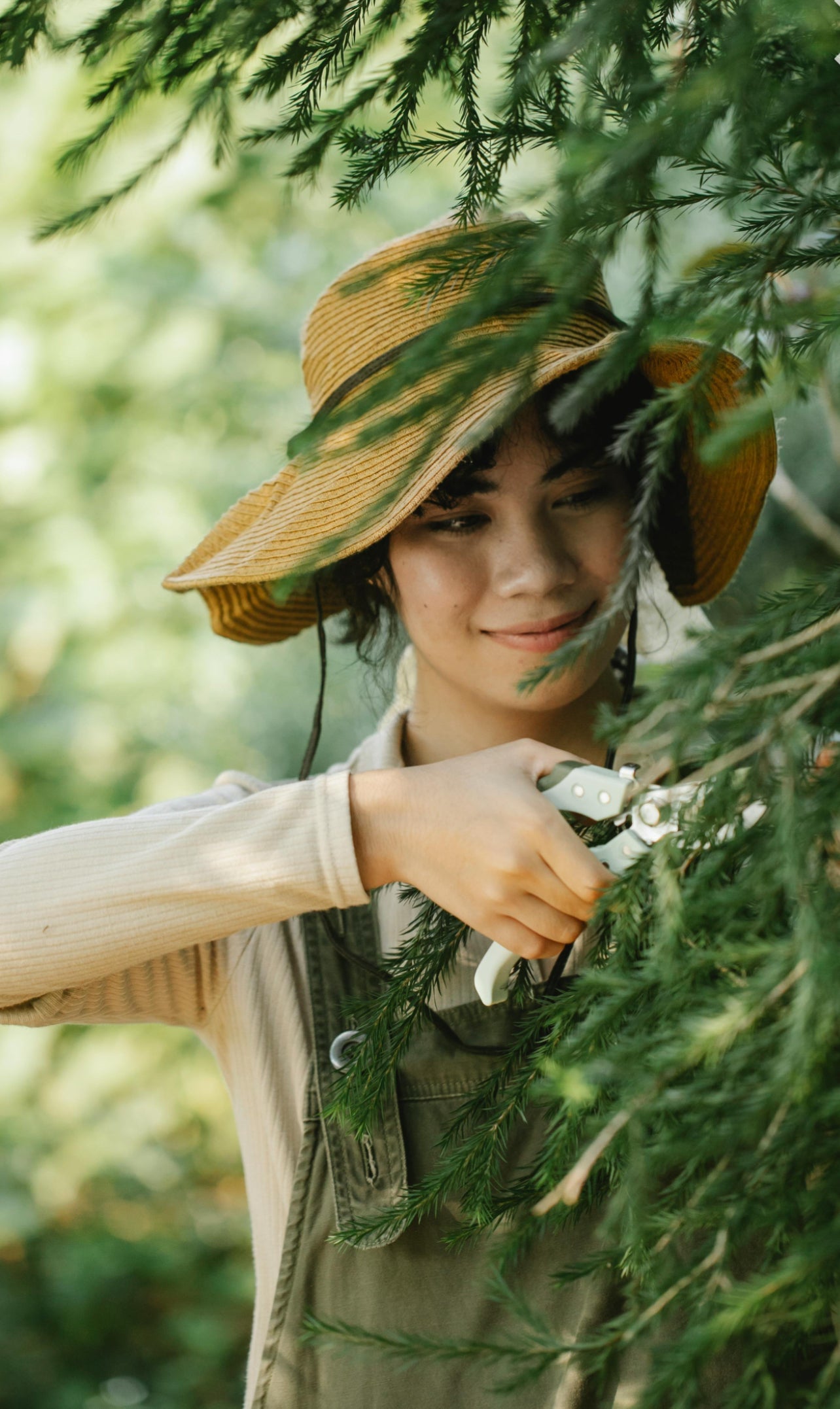 The Ultimate Guide to Pruning: Tips for Pruning Different Plants - Seeds In A Cup®