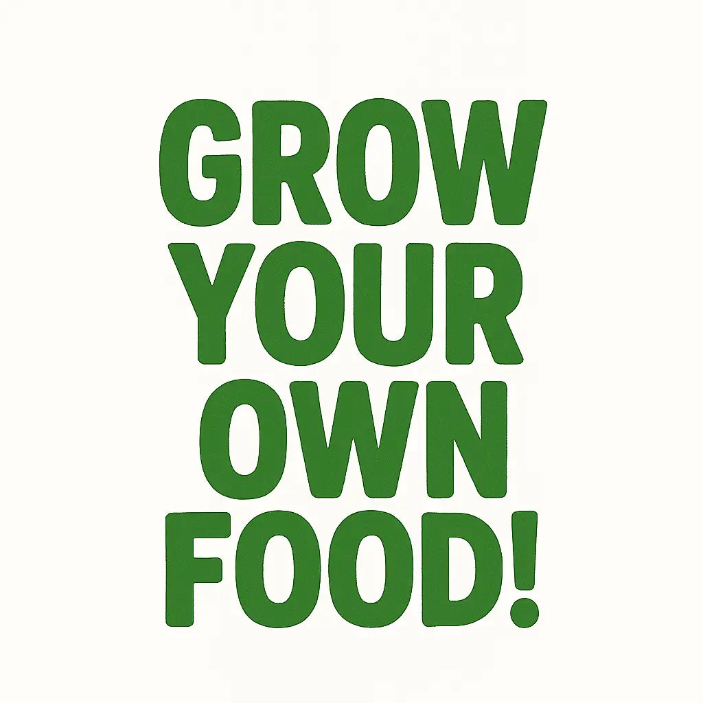 Organic vegetable and herb grow kits for indoor and outdoor gardening – perfect for beginners and families