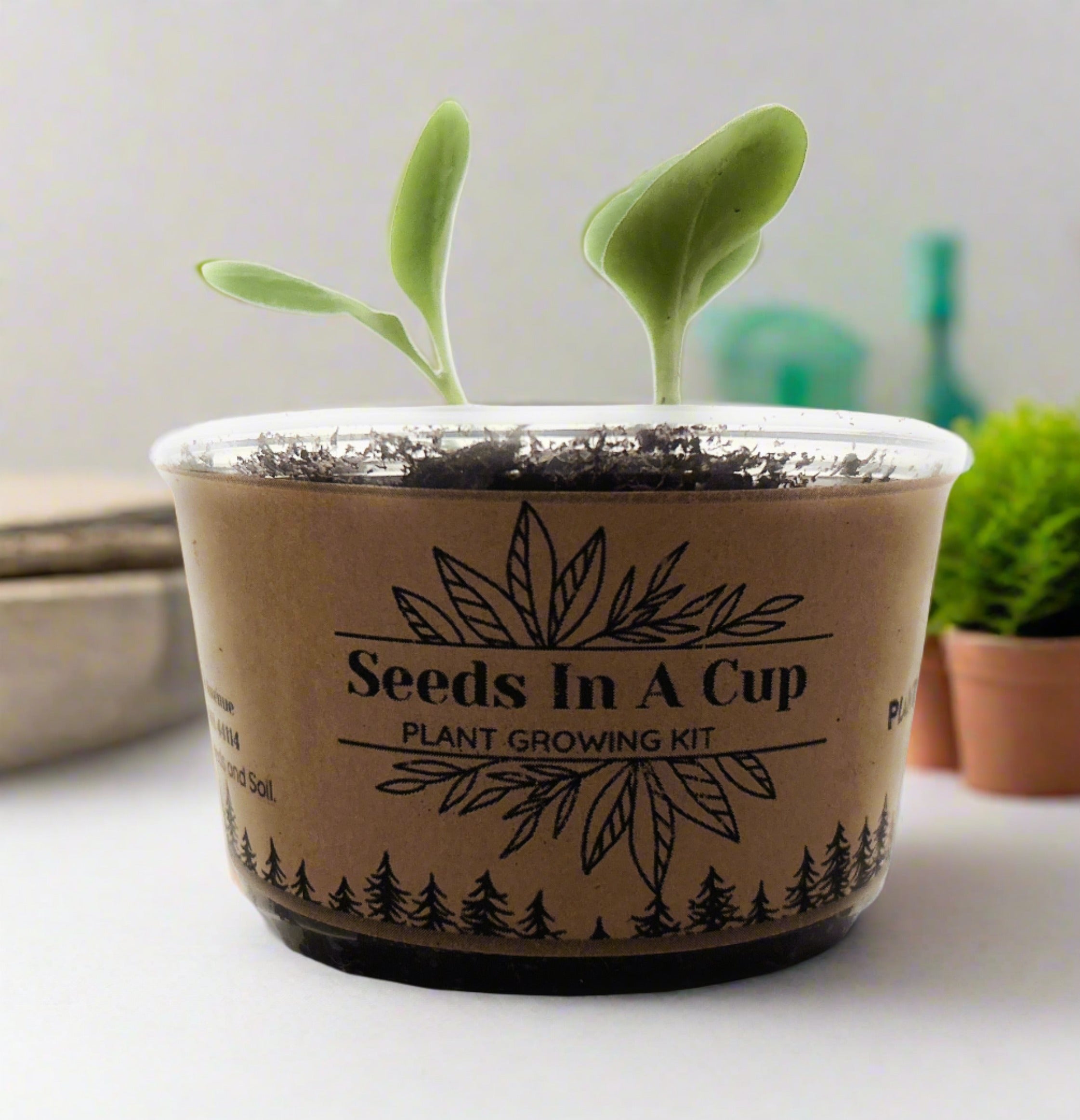Herb Grow Kits. - Seeds In A Cup®