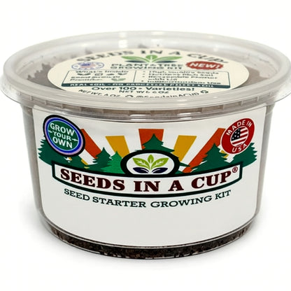Mature Dill (Anethum graveolens) plant grown from Seeds In A Cup starter kit, demonstrating the nutrient-dense real soil growing system and high germination success rate.