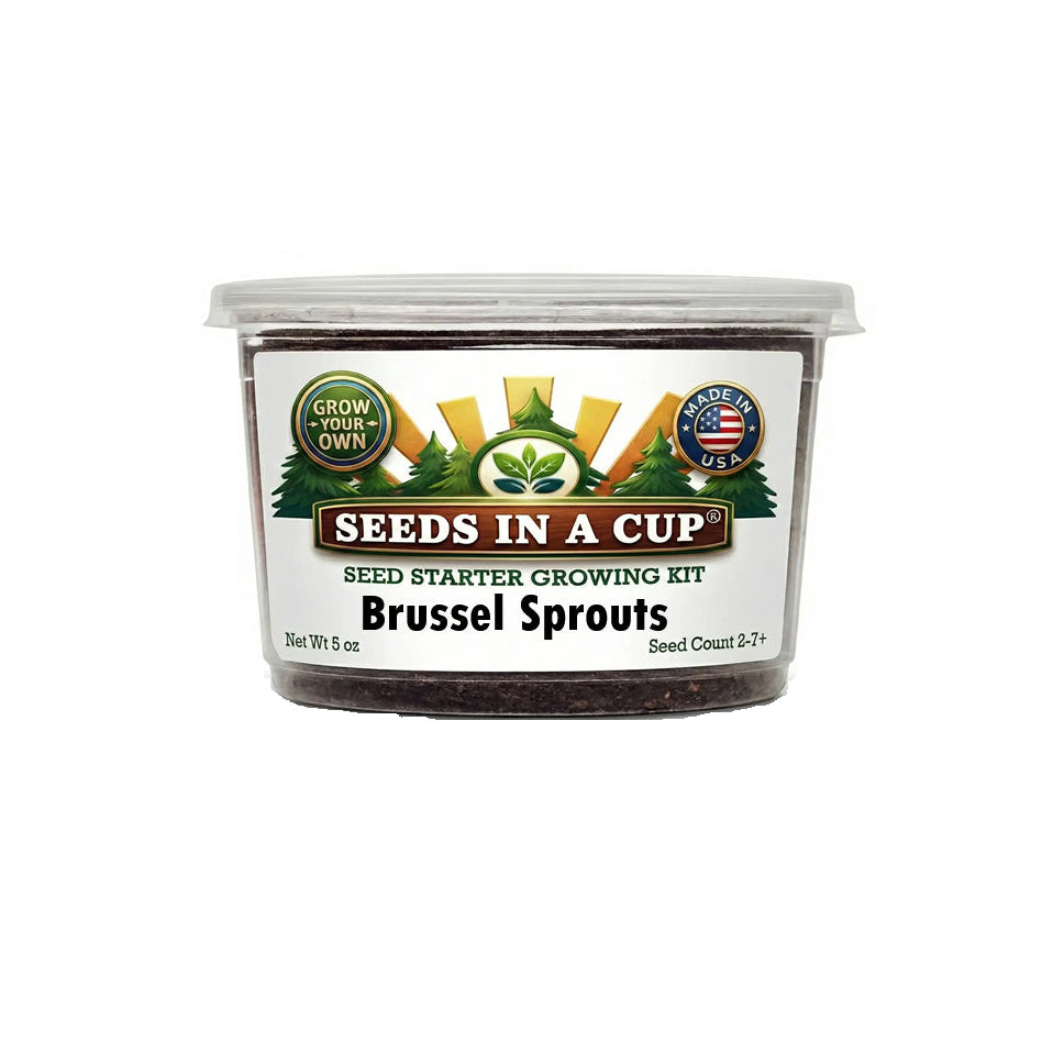 Indoor Brussel Sprouts (Brassica oleracea var. gemmifera) Growing Kit from Seeds In A Cup. Features USA-grown seeds and a sustainable recyclable planter with real soil.