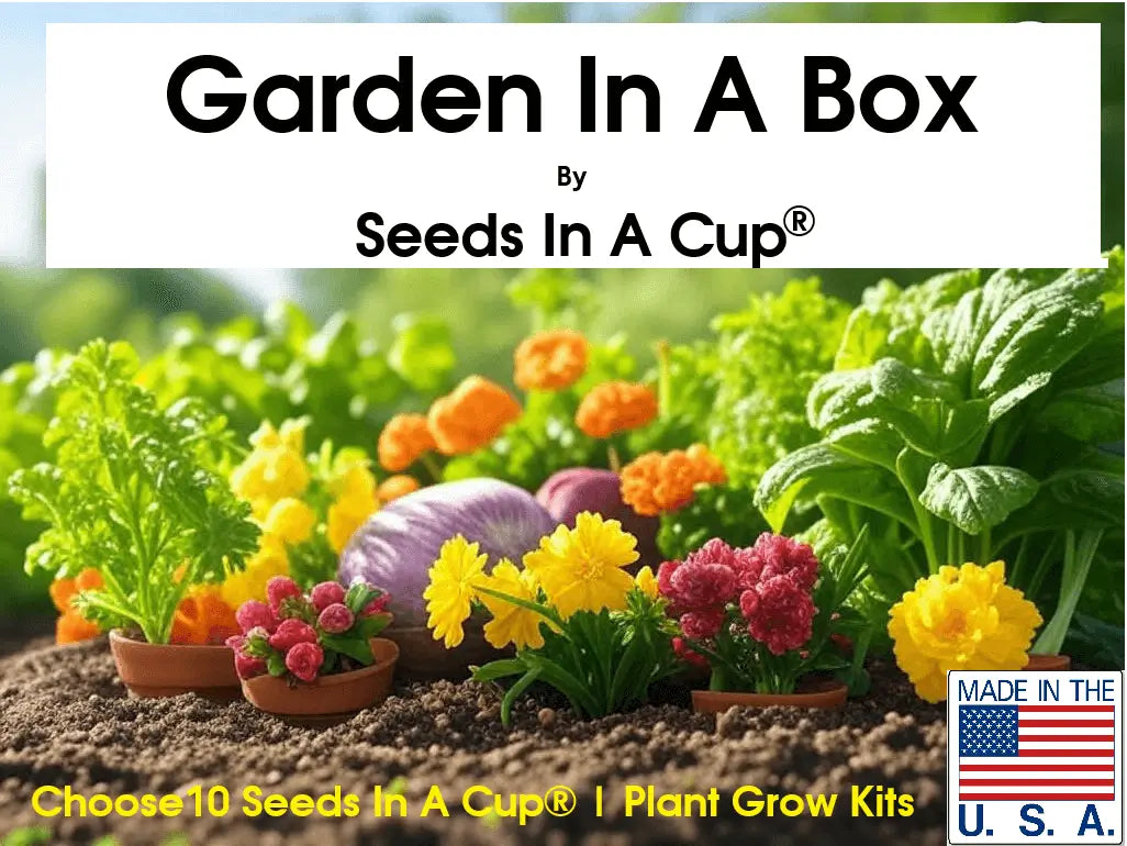 American Ash | Tree Grow Kit  |  Seeds In A Cup®