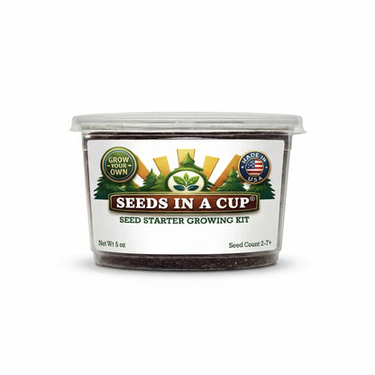 Eggplant (Solanum melongena) seed starter kit contents: premium non-GMO seeds, nutrient-rich loose potting soil, and recyclable planter with humidity lid by Seeds In A Cup - Made in USA.