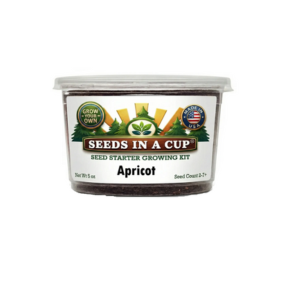 apricot tree kit grow from seed kit apricots