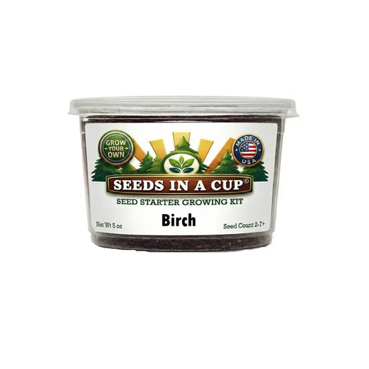 Seeds In A Cup Birch Tree (Betula papyrifera) Grow Kit - Complete seed starter with recyclable planter, non-GMO seeds, and real potting soil. Hand-assembled in Cleveland, Ohio, USA.