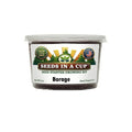 Seeds In A Cup Borage (Borago officinalis) Grow Kit - Complete seed starter with recyclable planter, non-GMO seeds, and real potting soil. Hand-assembled in Cleveland, Ohio, USA.