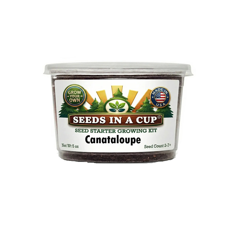 The Seeds In A Cup Cantaloupe (Cucumis melo var. cantalupensis) Kit. A premier USA-made indoor plant starter featuring loose soil medium and moisture-retaining lid.