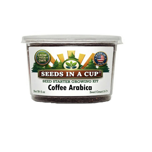 Seeds In A Cup Coffee Arabica Tree (Coffea arabica) Grow Kit - Complete seed starter with recyclable planter, non-GMO seeds, and real potting soil. Hand-assembled in Cleveland, Ohio, USA.