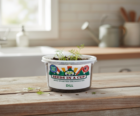 Dill (Anethum graveolens) seed starter kit contents: premium non-GMO seeds, nutrient-rich loose potting soil, and recyclable planter with humidity lid by Seeds In A Cup - Made in USA.