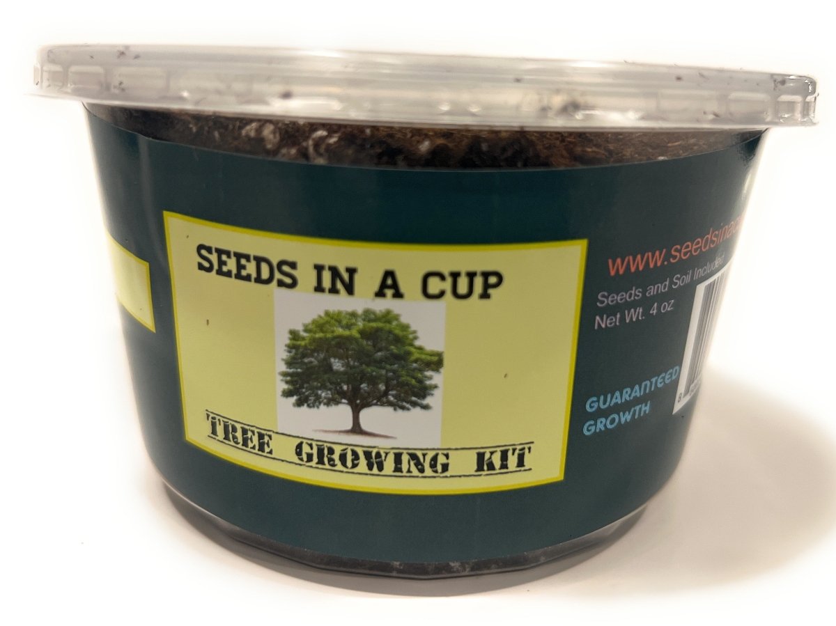 Dogwood Tree Made in USA plant grow kit – organic seed starter for indoor and outdoor gardening
