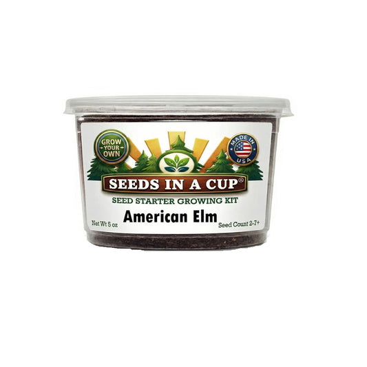 Seeds In A Cup American Elm Tree (Ulmus americana) Grow Kit - Complete seed starter with recyclable planter, non-GMO seeds, and real potting soil. Hand-assembled in Cleveland, Ohio, USA.