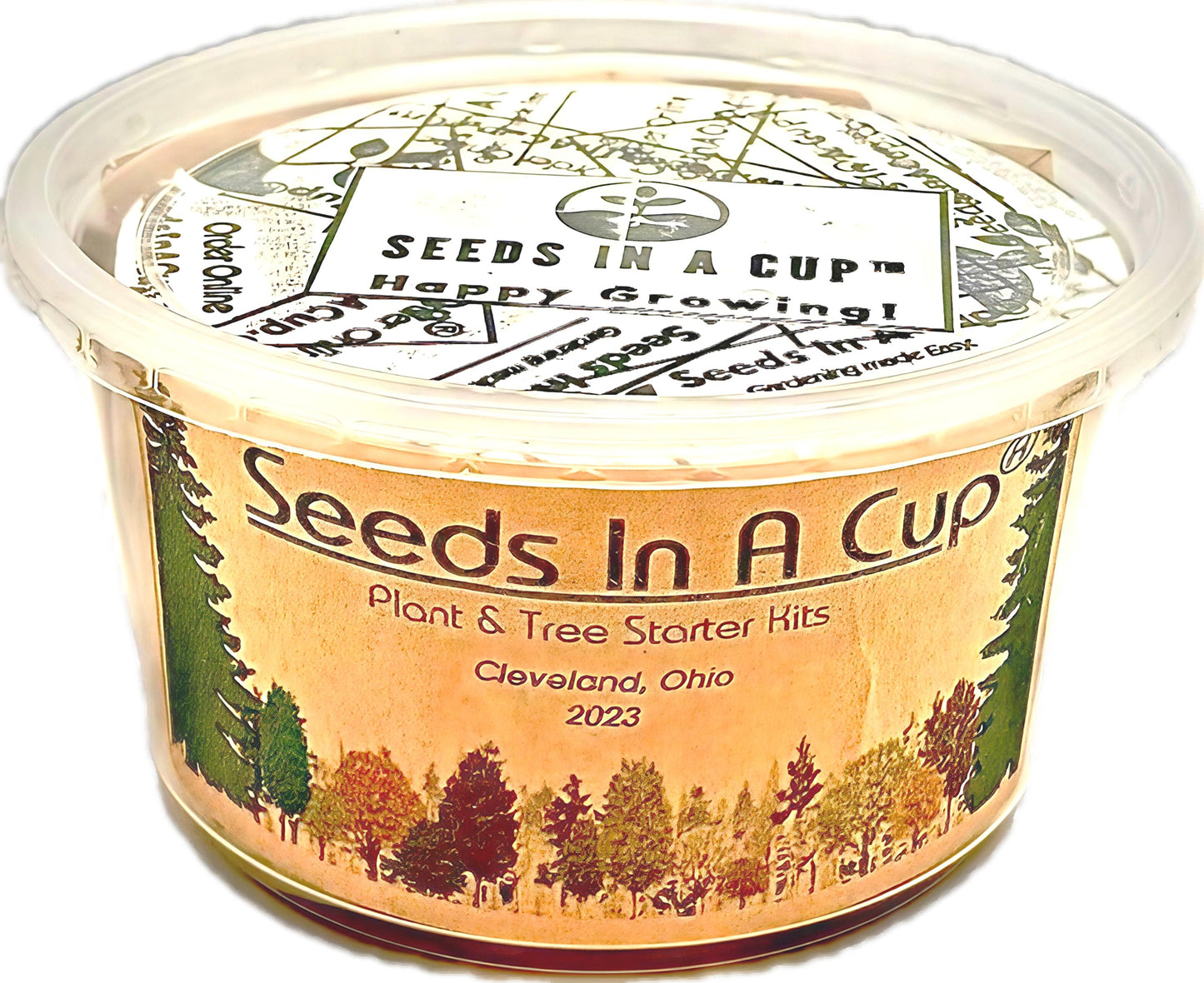 American Holly | Tree Seed Starter Grow Kit | Seeds In A Cup®