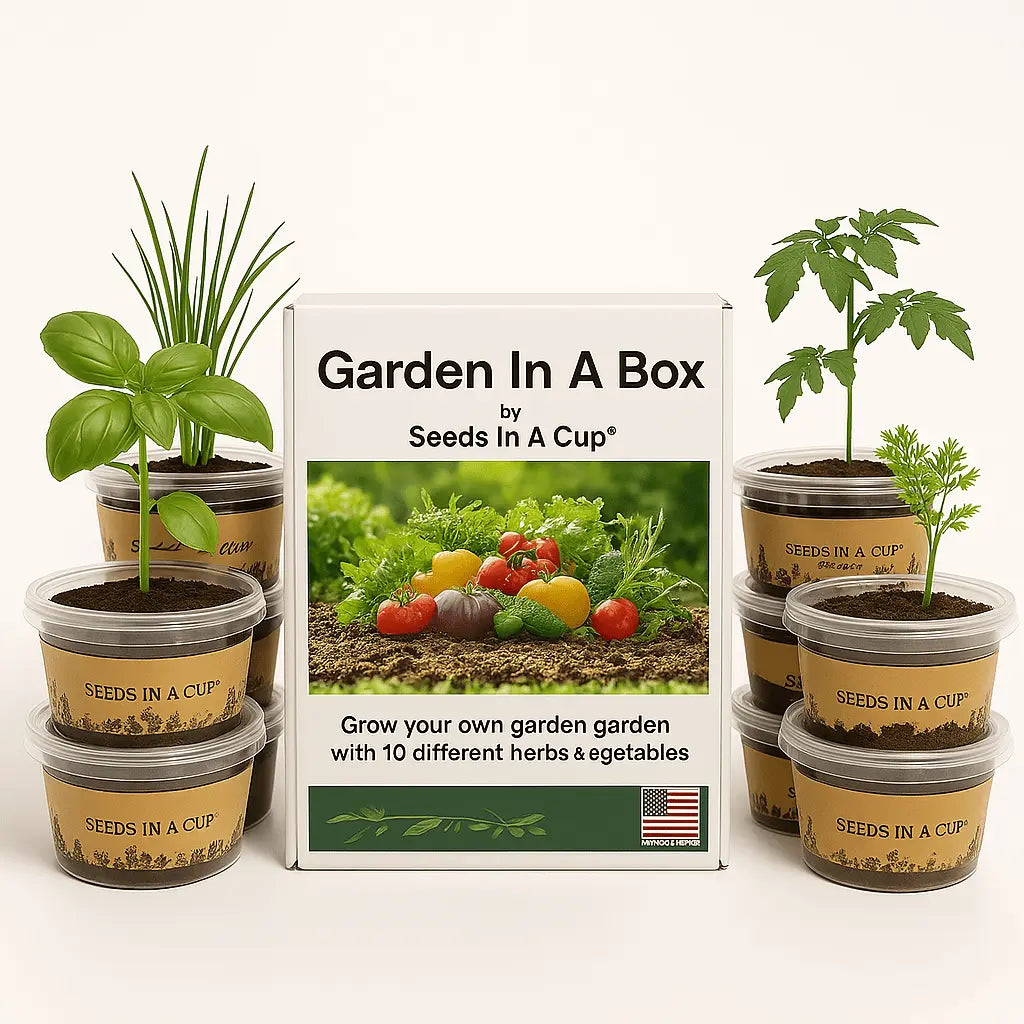 Garden in a Box - 5 Vegetable & Herb Growing Kits | Complete Indoor Garden Bundle
