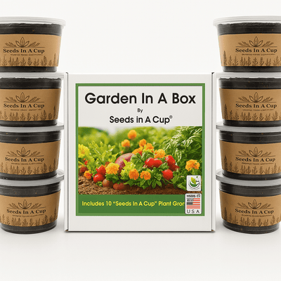 plant growing kit with how to grow from seed Seeds In A Cup best grow kit