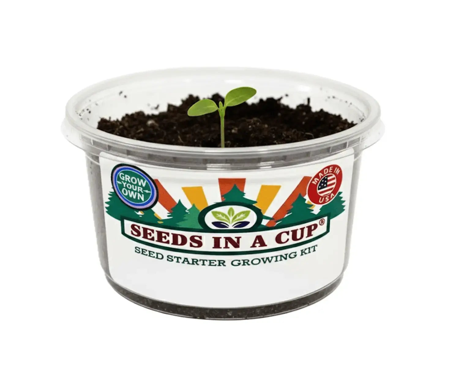 seeds in a cup branded seed starter growing kit on a wooden surface with soil and tools, surrounded by plants and celebrating successful growth.