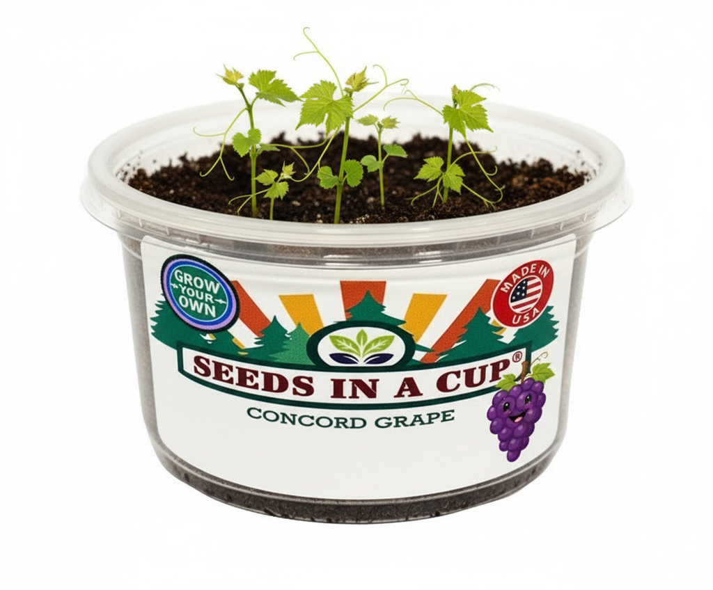 Grape with character