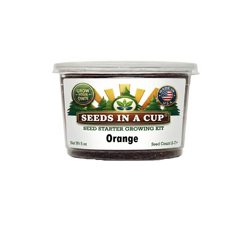 Orange tree grow kits from brand seeds in a cup. comes with real potting mix, non gmo-seeds, recyclable planter, and easy to follow instructions
