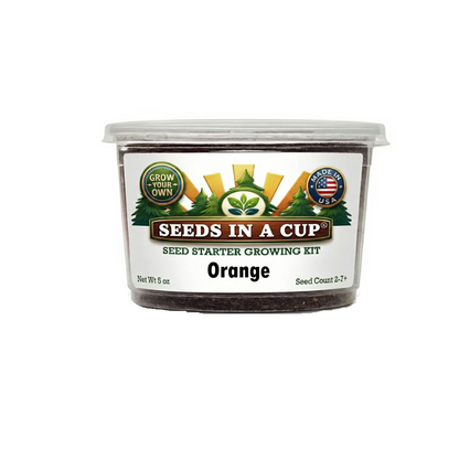 Orange tree grow kits from brand seeds in a cup. comes with real potting mix, non gmo-seeds, recyclable planter, and easy to follow instructions