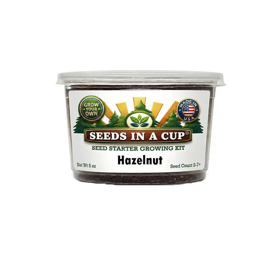 Seeds in a Cup hazelnut seed starter growing kit on a white background