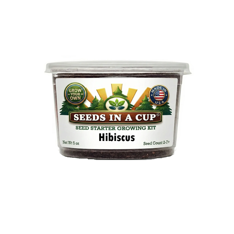 Hibiscus grow kit from the brand seed in a cup that is proven to grow 
